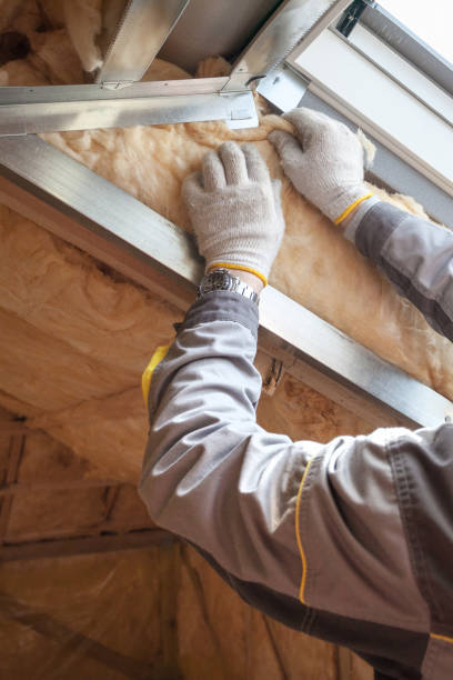 Professional Insulation Contractor in Monroe, OH
